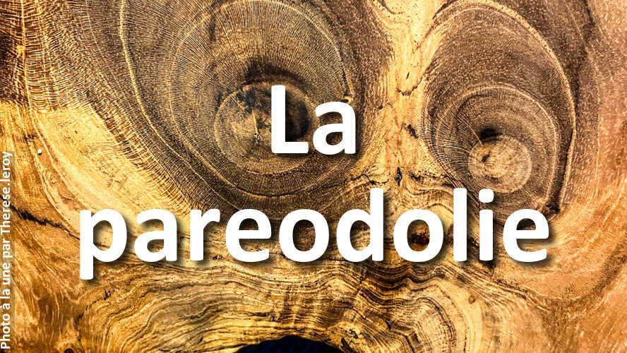 Therese.leroy-brille-au-concours-La-pareodolie