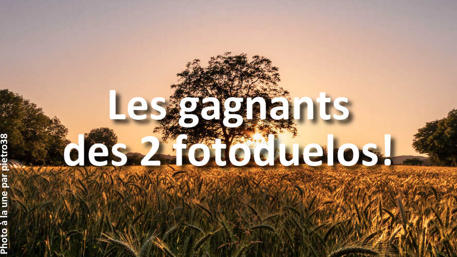 Mais-qui-sont-ces-gagnants-des-2-recents-fotoduelos