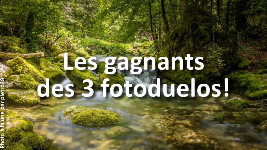 Si-vous-avez-participe-a-fotoduelo-ne-manquez-pas-ces-gagnants