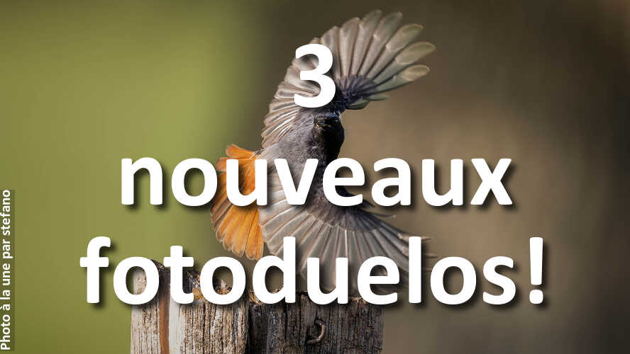 Amusez-vous-1-minute-ou-plus-avec-3-nouveaux-fotoduelos