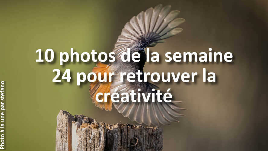 Les-10-photos-de-la-semaine-24-qui-vont-vous-faire-retrouver-linspiration