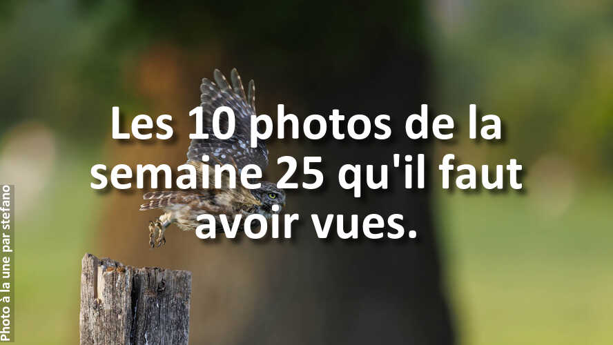 Trouvez-linspiration-dans-les-10-plus-belles-photos-de-la-galerie-de-la-semaine-25
