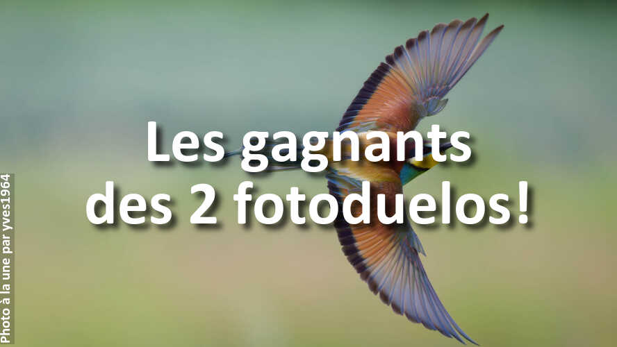 Decouvrez-les-gagnants-des-2-fotoduelos-cette-semaine