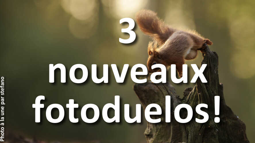 Laquelle-est-la-plus-belle-celle-de-droite-ou-de-gauche