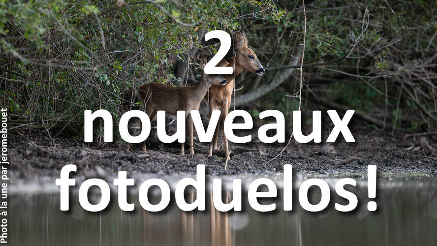 2-nouveaux-fotoduelos-ouverts