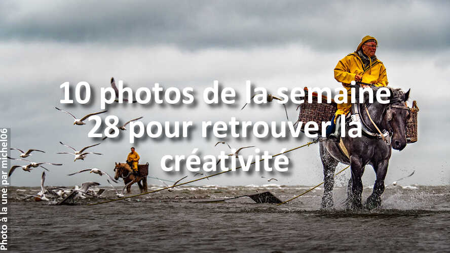 Les-10-plus-belles-photos-de-la-galerie-de-la-semaine-28