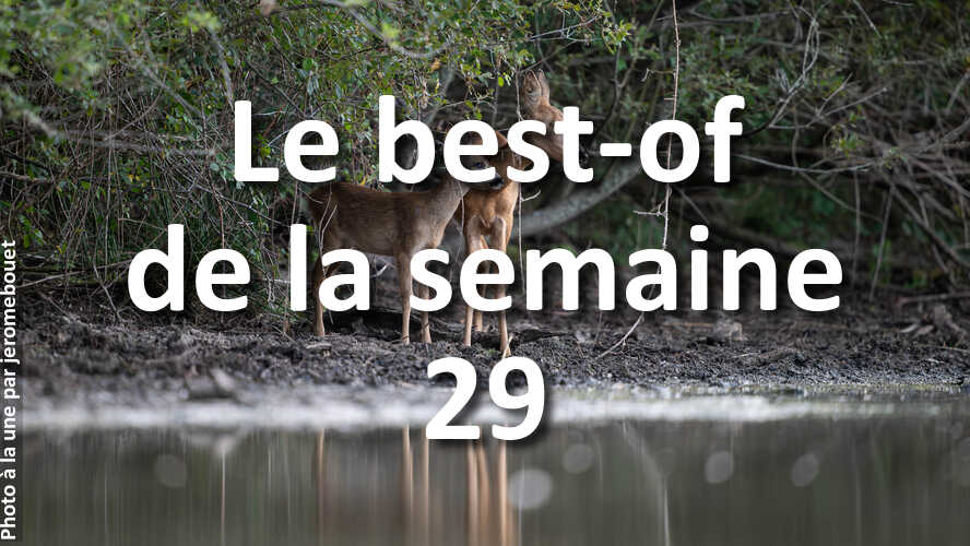 Avez-vous-rate-les-10-plus-belles-photos-de-la-semaine-29