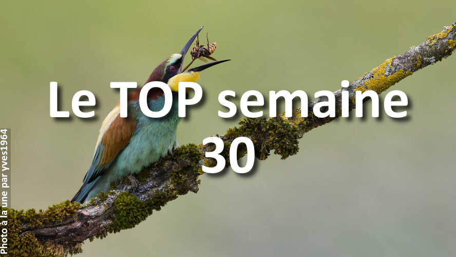 Avez-vous-rate-les-10-plus-belles-photos-de-la-semaine-30