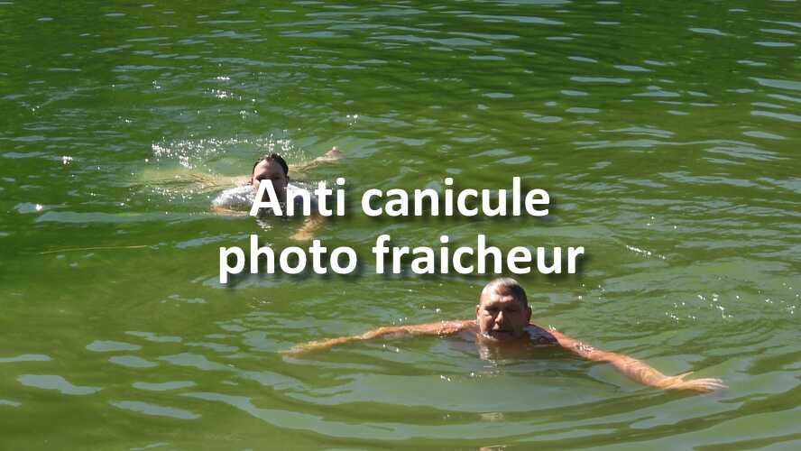 Il-est-temps-de-me-montrer-vos-photos-de-Anti-canicule-photo-fraicheur