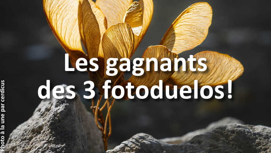 Mais-qui-sont-ces-gagnants-des-3-recents-fotoduelos