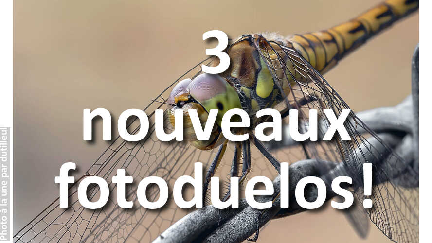 3-nouveaux-fotoduelos-ouverts