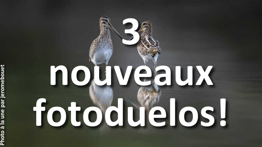 Amusez-vous-1-minute-ou-plus-avec-3-nouveaux-fotoduelos