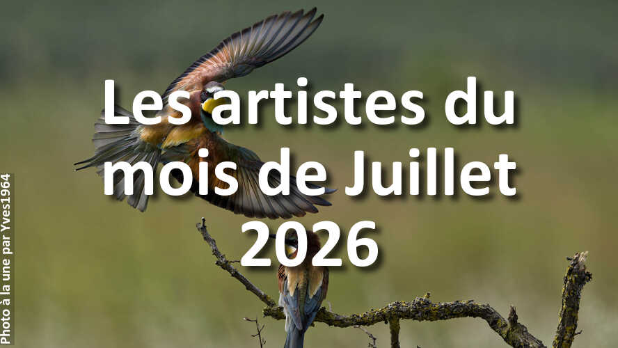 Trouvez-linspiration-dans-les-10-plus-belles-photos-de-la-galerie-du-mois-de-Juillet-2026