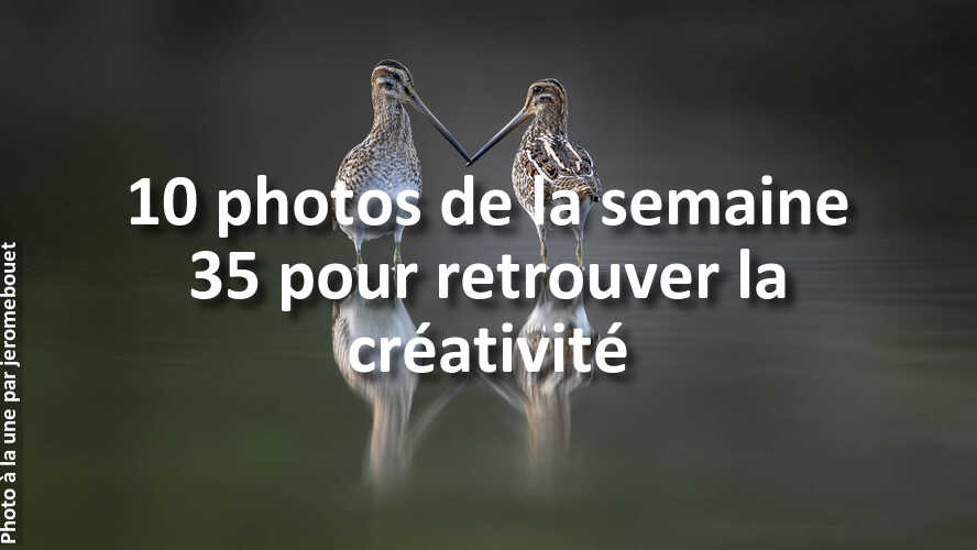 Les-10-photos-de-la-semaine-35-qui-vont-vous-faire-retrouver-linspiration