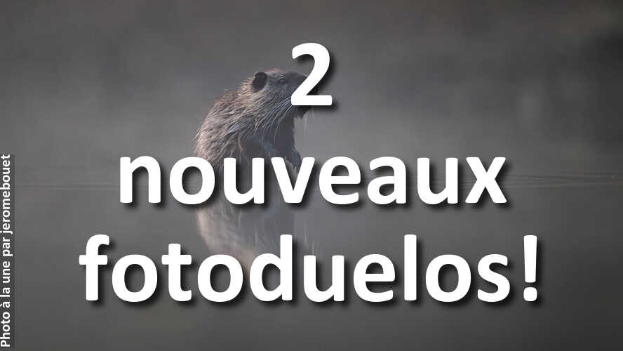 Amusez-vous-1-minute-ou-plus-avec-2-nouveaux-fotoduelos