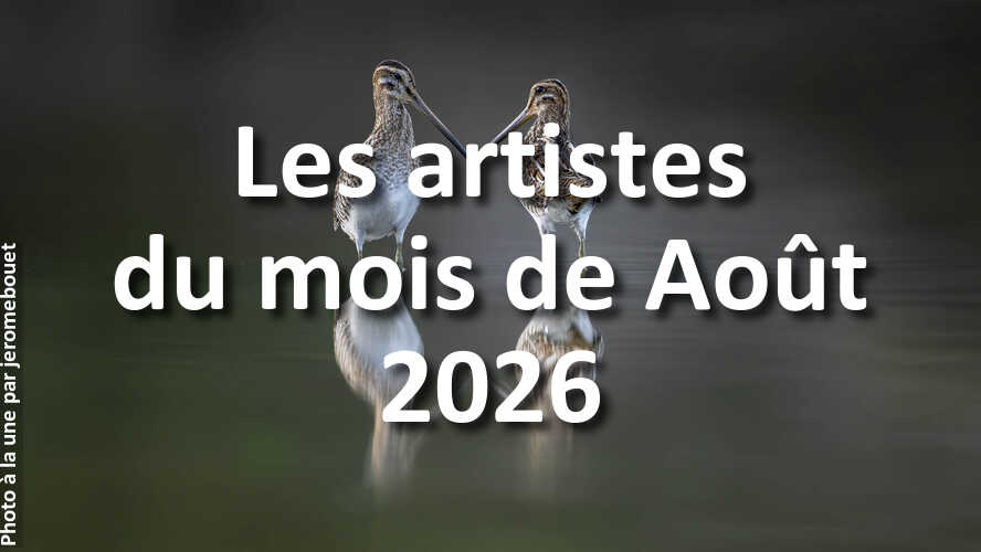 Les-10-photos-de-Aout-2026-qui-vont-vous-faire-retrouver-linspiration