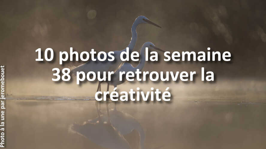 Avez-vous-rate-les-10-plus-belles-photos-de-la-semaine-38