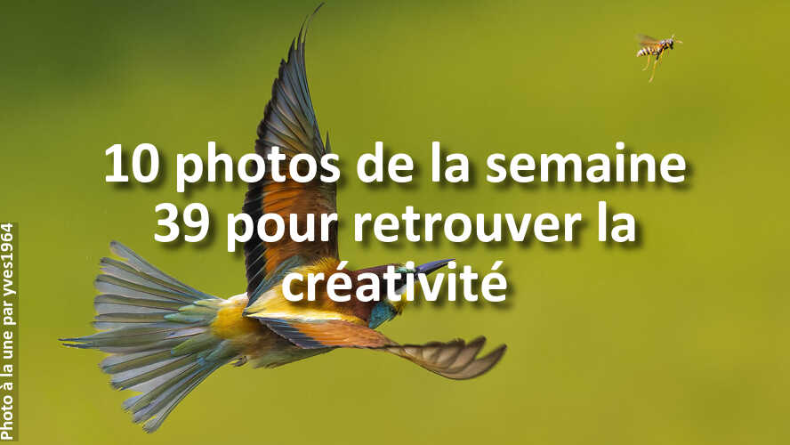 Avez-vous-rate-les-10-plus-belles-photos-de-la-semaine-39