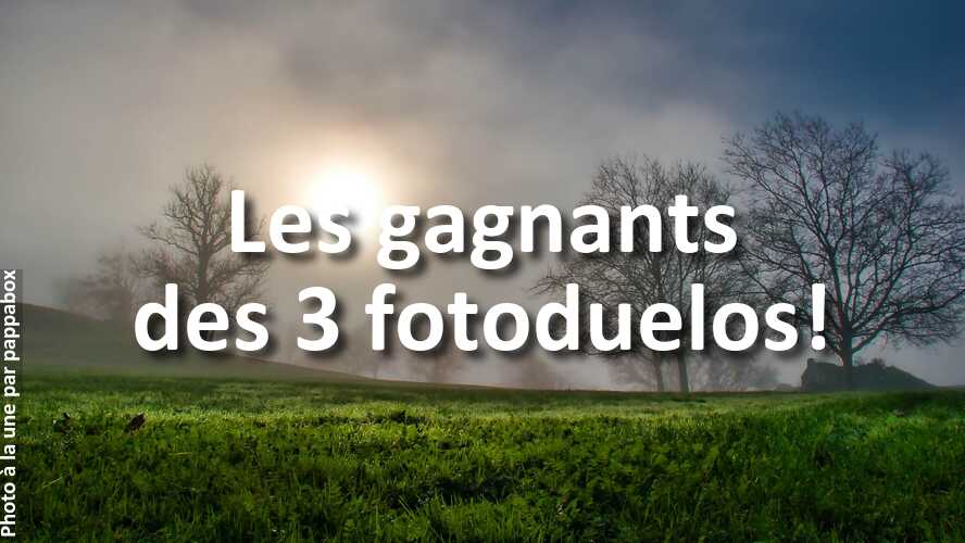 Auriez-vous-aussi-choisi-ces-photos-dans-ces-fotoduelos