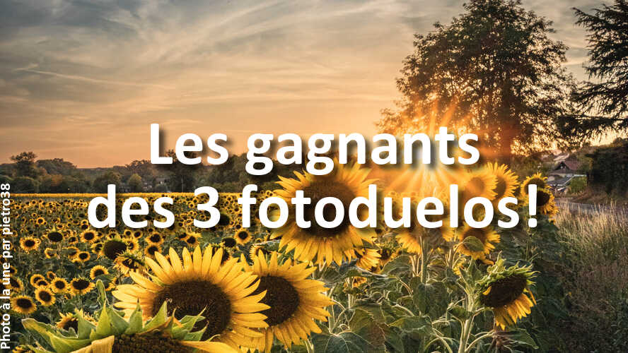 Que-pensez-vous-des-gagnants-des-3-derniers-fotoduelos