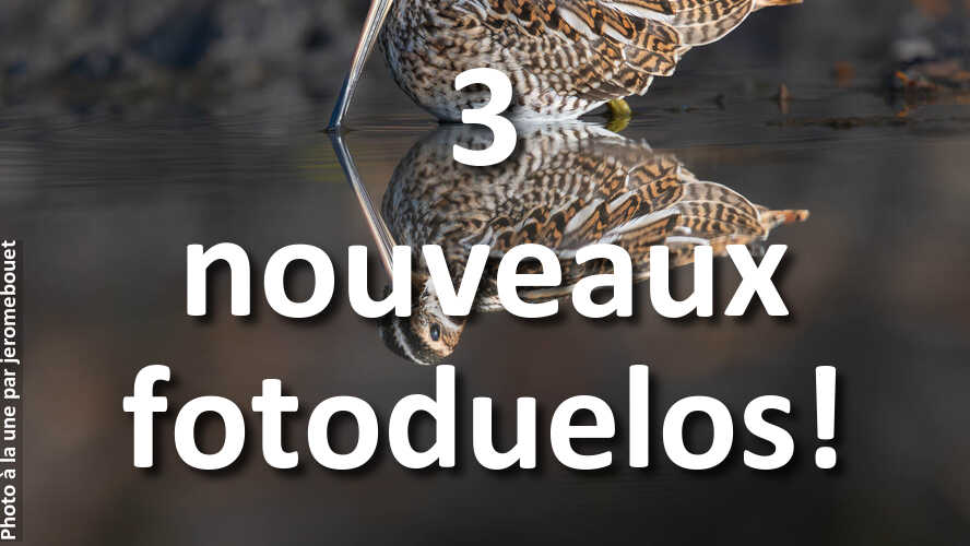 Avez-vous-1-minute-pour-admirer-les-nouvelles-photos-fotoduelo