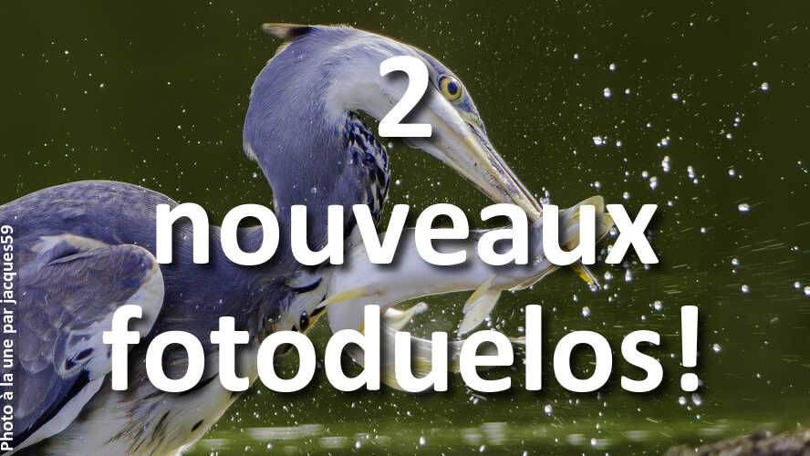 2-nouveaux-fotoduelos-ouverts