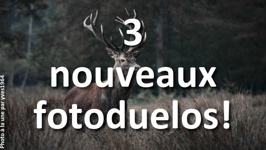 Un-coup-de-fatigue-Alors-venez-jouer-1-minute-a-fotoduelo