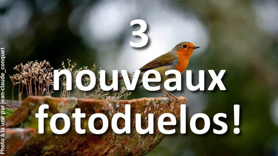 Jouez-aux-nouveaux-fotoduelos-tout-en-retrouvant-linspiration