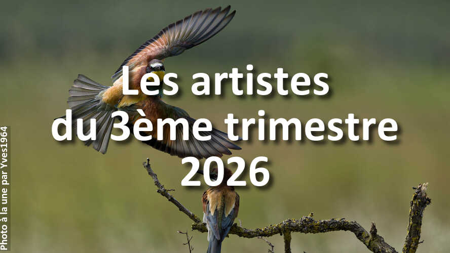 Avez-vous-rate-les-12-plus-belles-photos-du-3eme-trimestre-2026