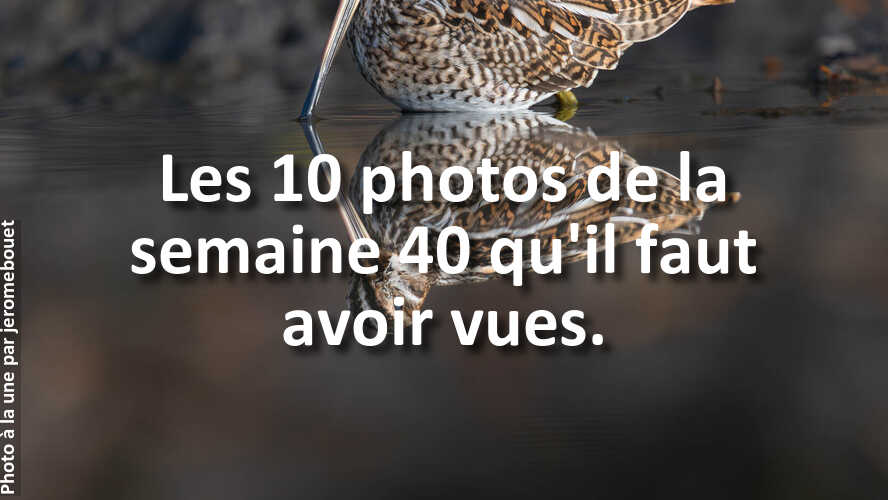 Trouvez-linspiration-dans-les-10-plus-belles-photos-de-la-galerie-de-la-semaine-40