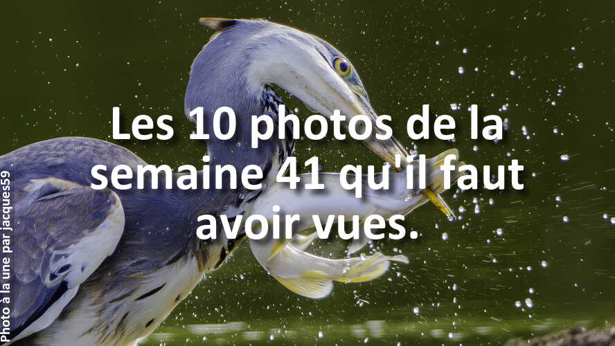 Avez-vous-rate-les-10-plus-belles-photos-de-la-semaine-41