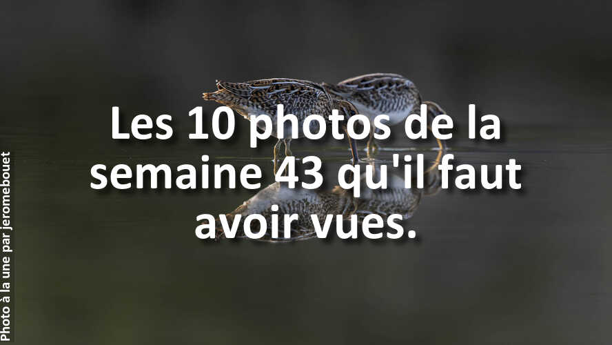 Les-10-photos-de-la-semaine-43-qui-vont-vous-faire-retrouver-linspiration