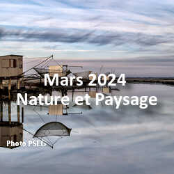 fotoduelo Mars 2024 - Nature et Paysage