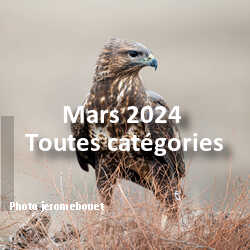 fotoduelo Mars 2024 - Toutes catégories