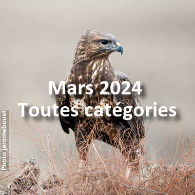 fotoduelo Mars 2024 - Toutes catégories