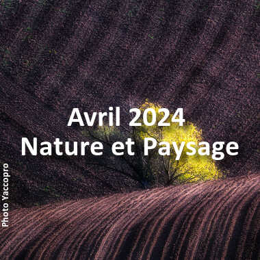 fotoduelo Avril 2024 - Nature et Paysage