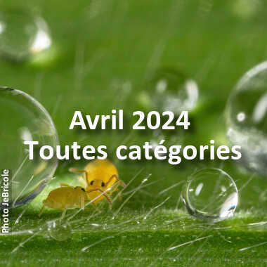 fotoduelo Avril 2024 - Toutes catégories