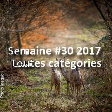 fotoduelo Semaine #30 2017 - Toutes catégories