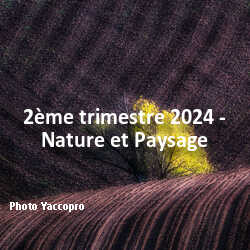 fotoduelo 2ème trimestre 2024 - Nature et Paysage