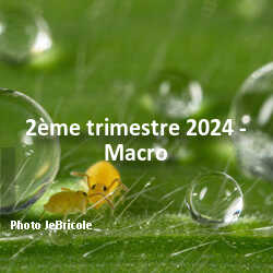 fotoduelo 2ème trimestre 2024 - Macro