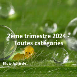 fotoduelo 2ème trimestre 2024 - Toutes catégories