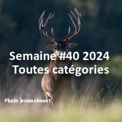 fotoduelo Semaine #40 2024 - Toutes catégories