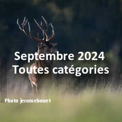 fotoduelo Septembre 2024 - Toutes catégories