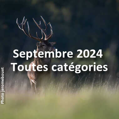 fotoduelo Septembre 2024 - Toutes catégories