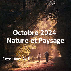 fotoduelo Octobre 2024 - Nature et Paysage