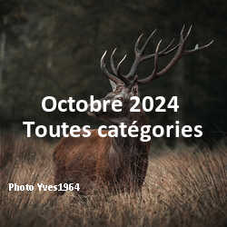 fotoduelo Octobre 2024 - Toutes catégories