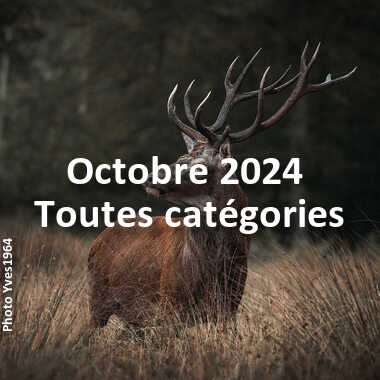 fotoduelo Octobre 2024 - Toutes catégories