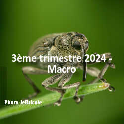 fotoduelo 3ème trimestre 2024 - Macro