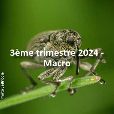 fotoduelo 3ème trimestre 2024 - Macro