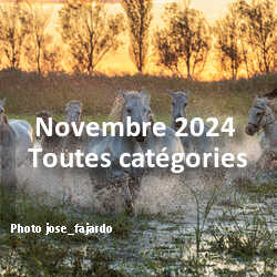 fotoduelo Novembre 2024 - Toutes catégories